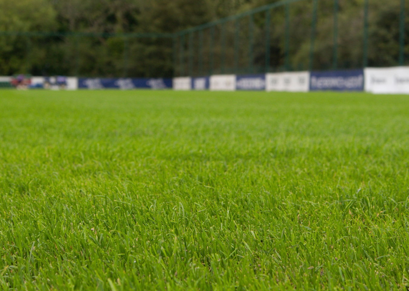 hybrid pitch construction