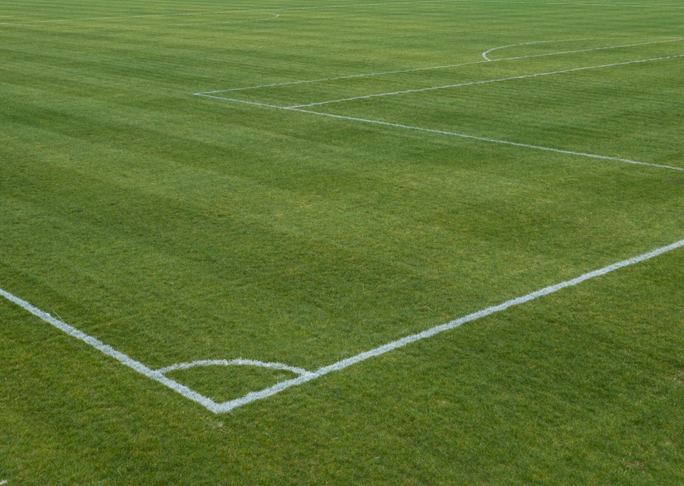 natural grass pitch construction
