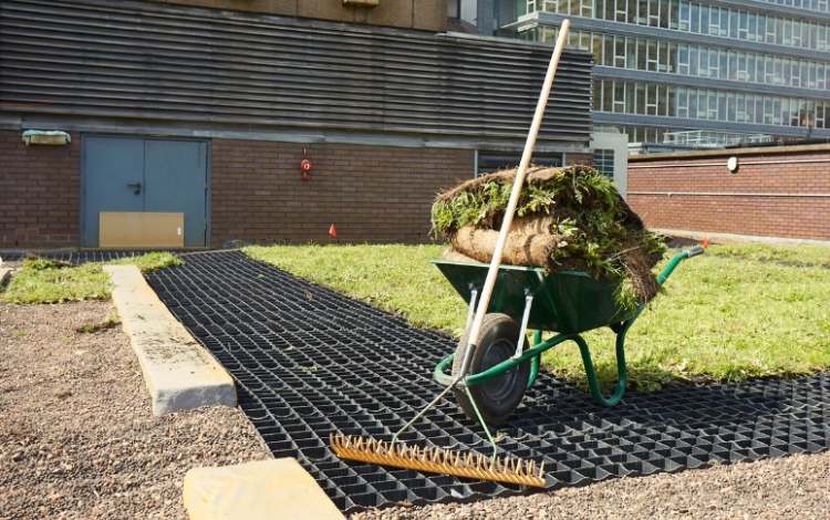 turf ready to be laid in wheelbarrow