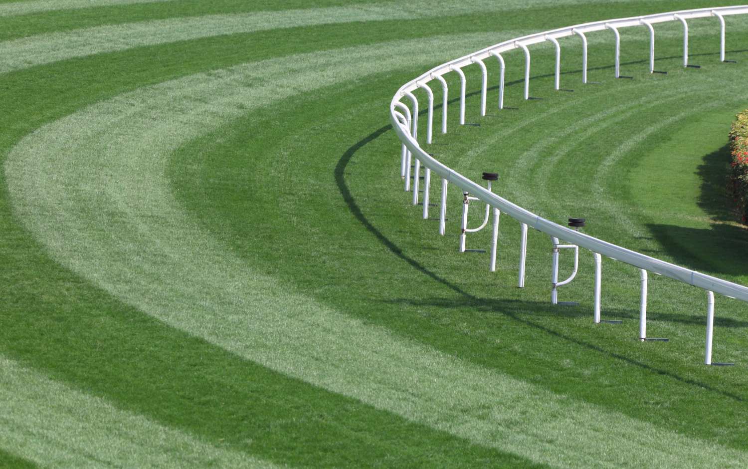 equestrian arena construction