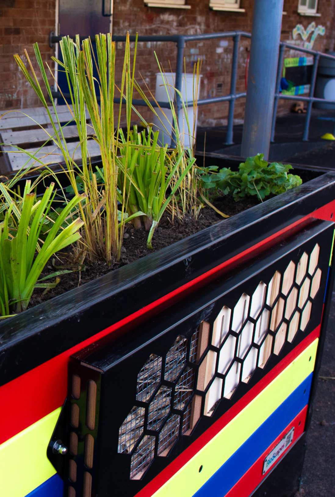 education suds planter