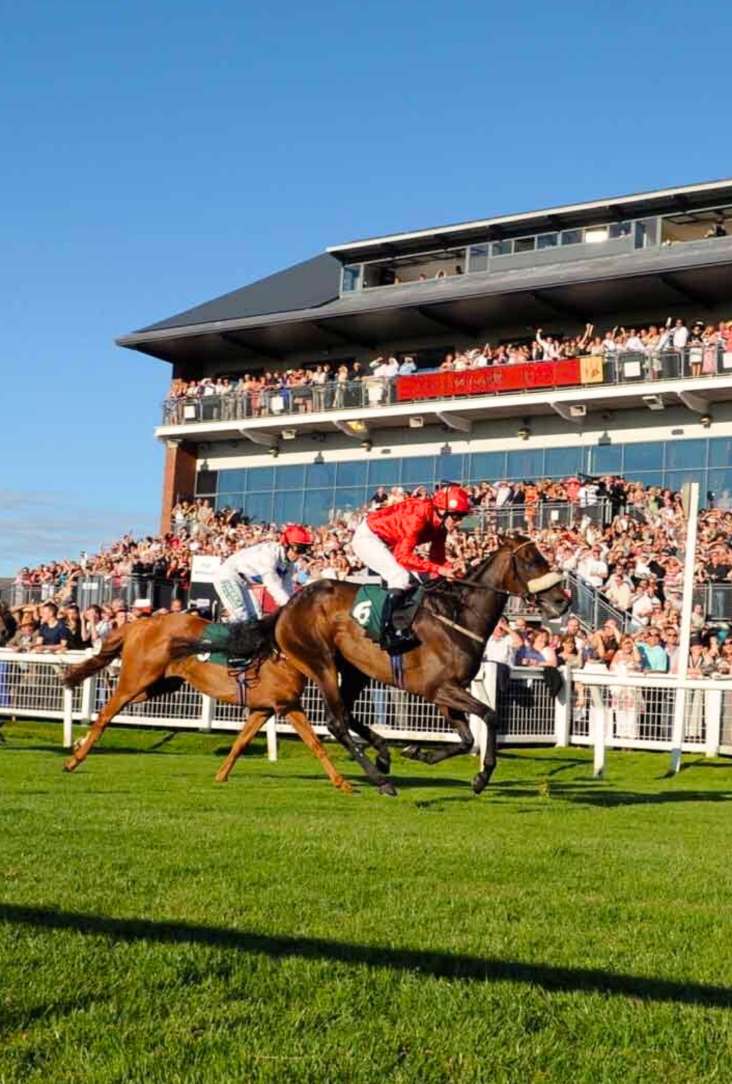 horse racing on track