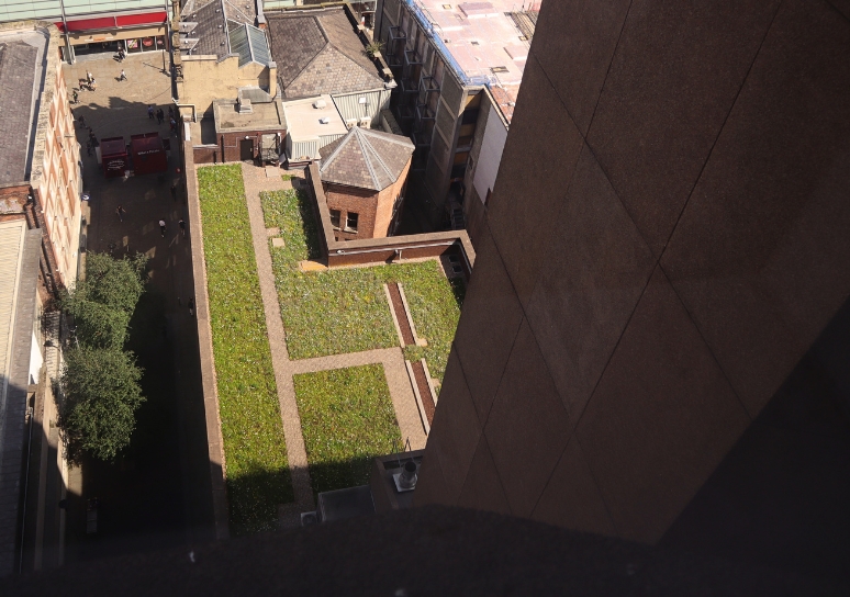 blue green roof on top of a building