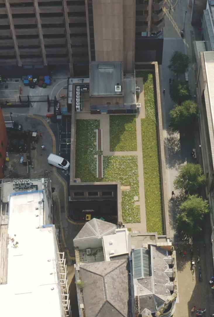 top down image of a blue green roof