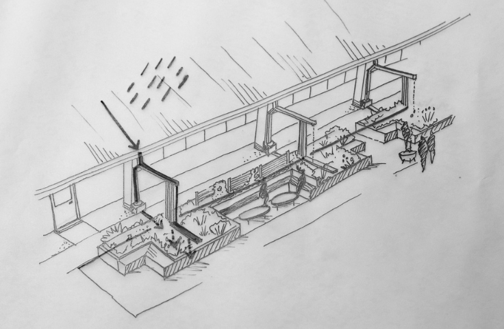 concept design of a SuDS rain garden