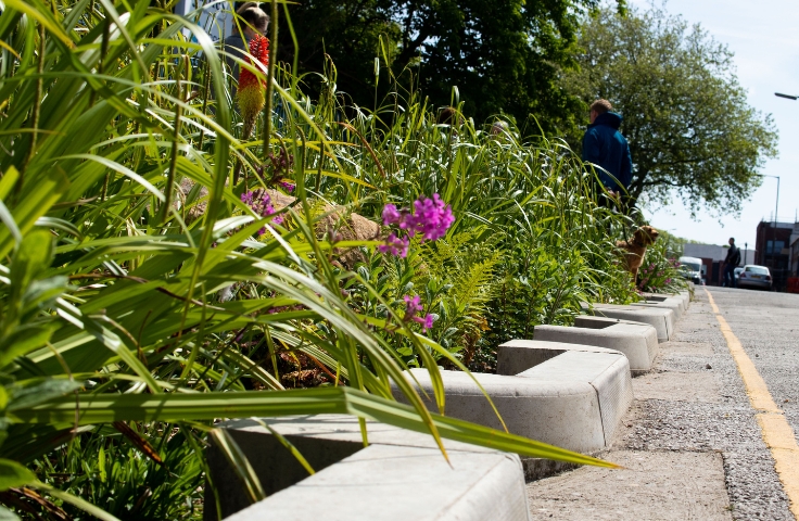SuDS feature of a rain garden