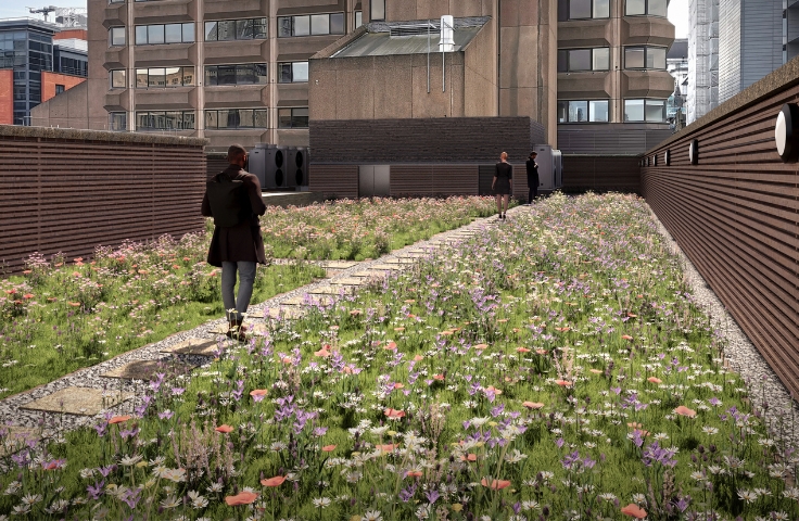 design render of a blue green roof