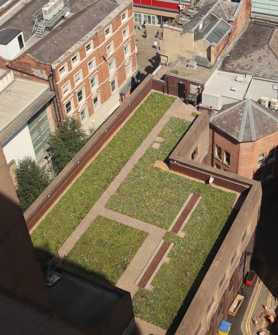 blue green roof showing the planted areas