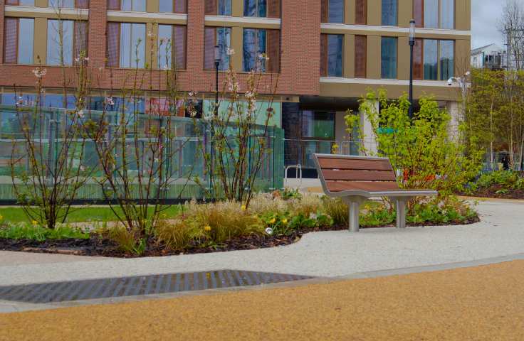 SuDS design feature of a rain garden with bench next to it