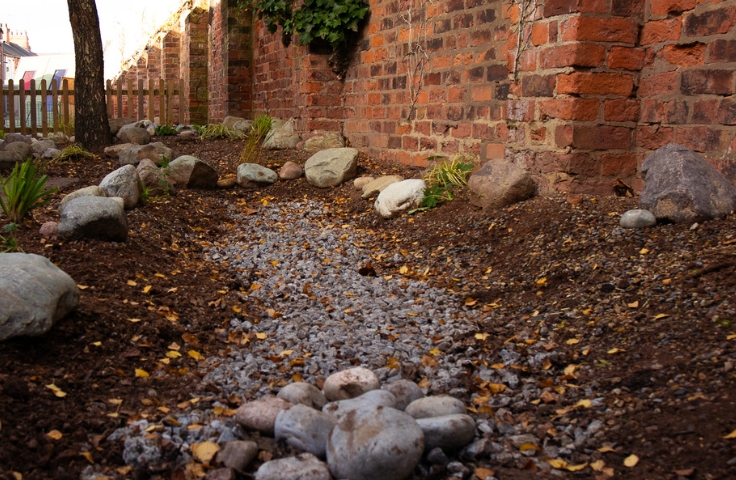 rain garden in a school