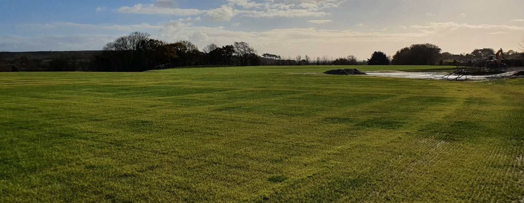 sunny day with cricket pitch in foreground