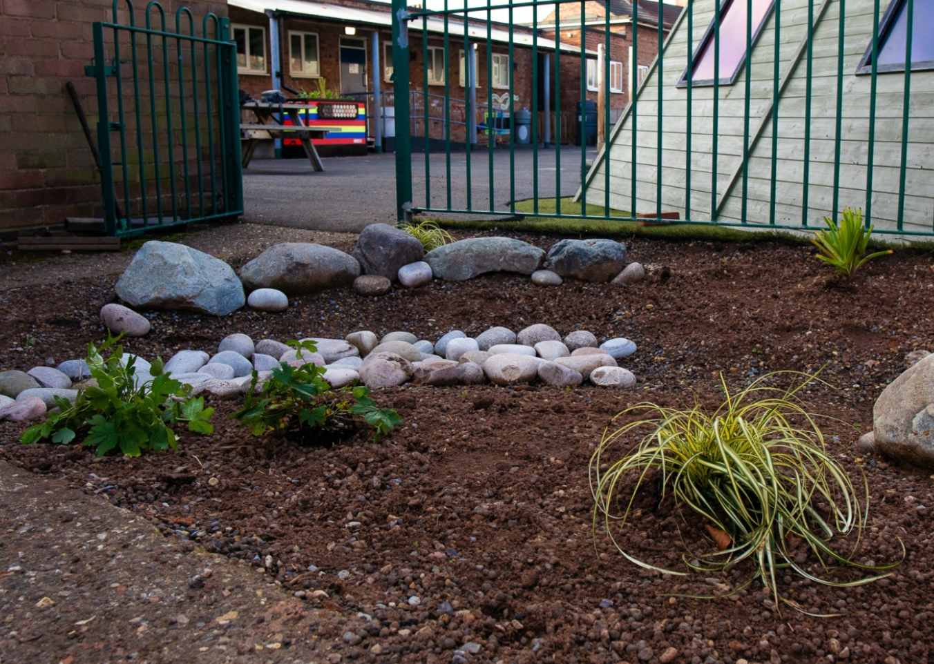 SuDS garden at a school grounds