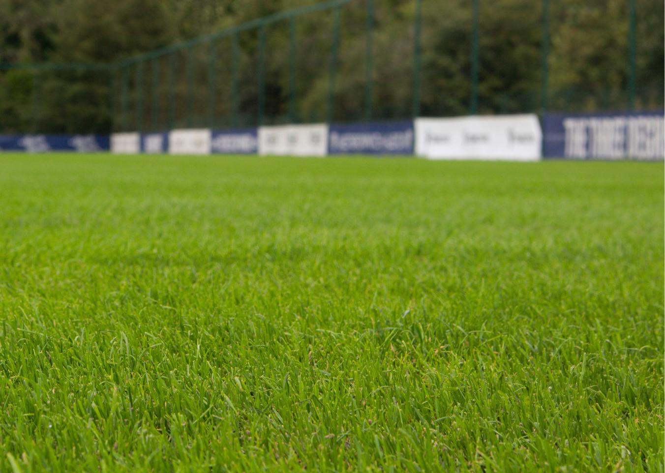 completed hybrid pitch at west brom