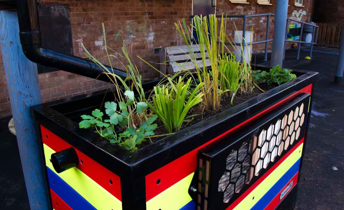 SuDS planter in school