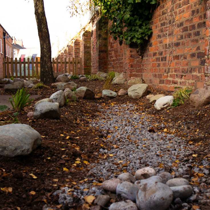 rain garden in school