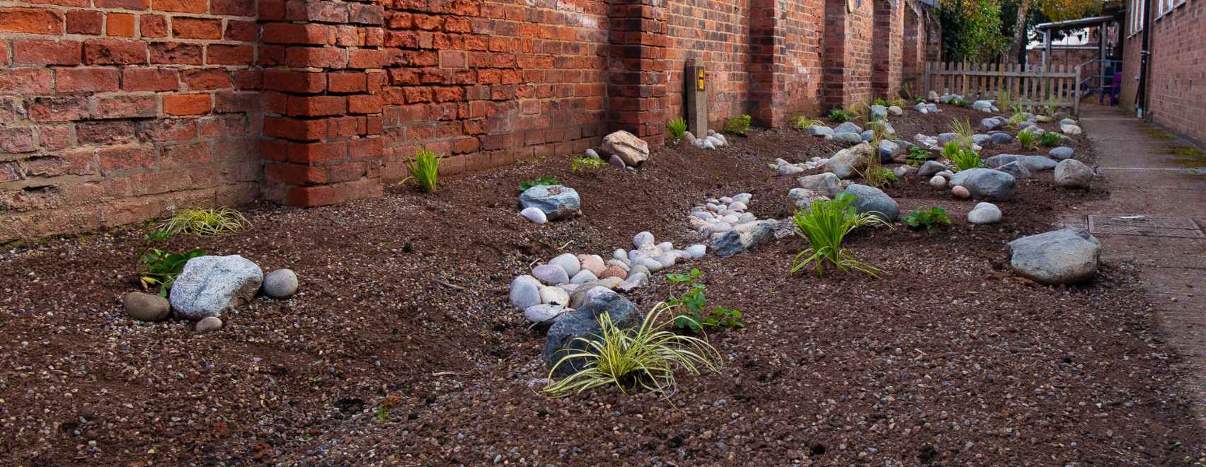 SuDS rain garden with plants