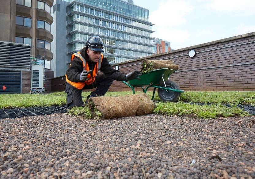 man rolling out turf on blue green roof